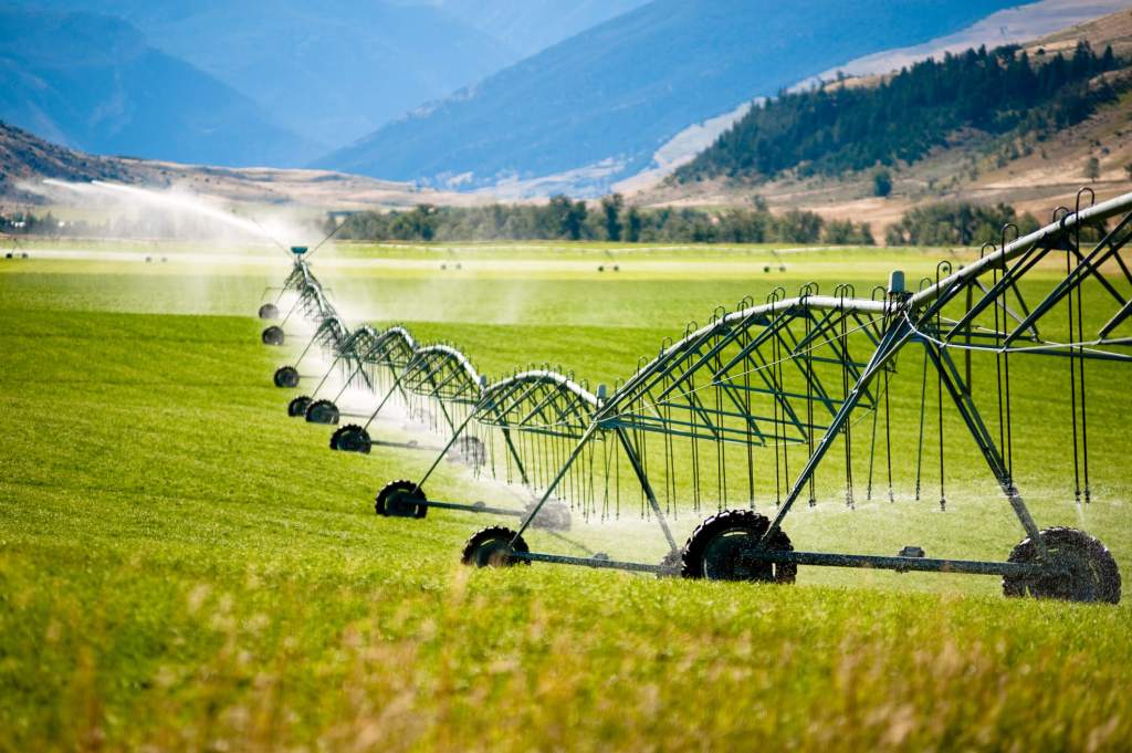 Maximizing Your Harvest: A Comprehensive Guide to Irrigation Systems for Rural Living and Homesteading